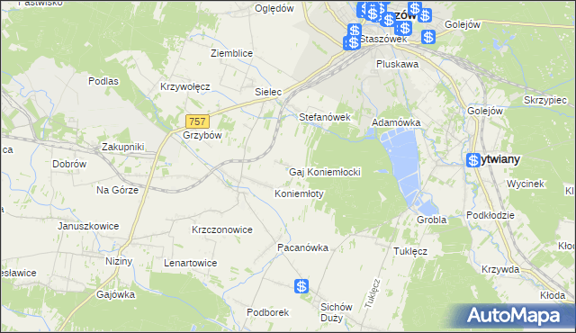 mapa Gaj Koniemłocki, Gaj Koniemłocki na mapie Targeo