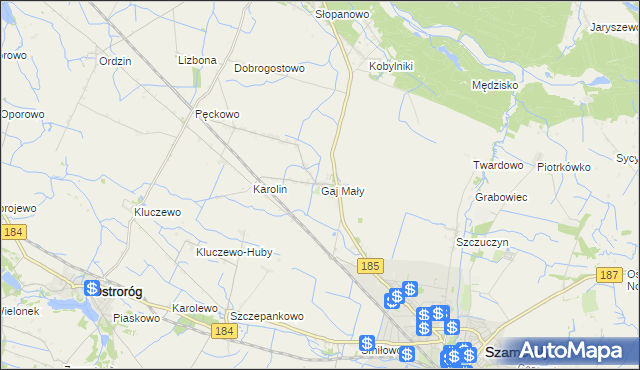 mapa Gaj Mały gmina Obrzycko, Gaj Mały gmina Obrzycko na mapie Targeo