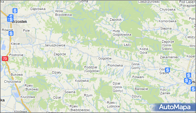mapa Gogołów gmina Frysztak, Gogołów gmina Frysztak na mapie Targeo