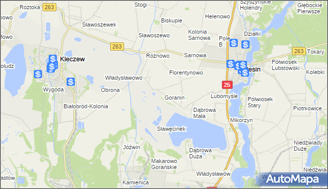 mapa Goranin gmina Ślesin, Goranin gmina Ślesin na mapie Targeo