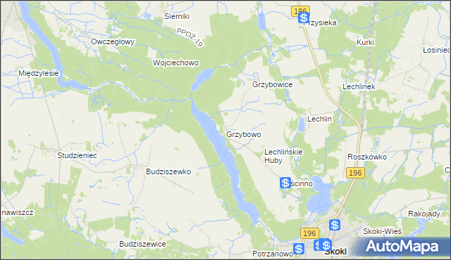 mapa Grzybowo gmina Skoki, Grzybowo gmina Skoki na mapie Targeo