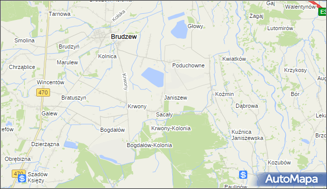 mapa Janiszew gmina Brudzew, Janiszew gmina Brudzew na mapie Targeo