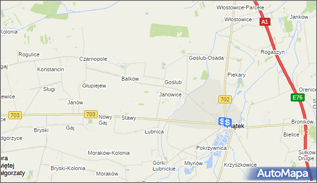 mapa Janowice gmina Piątek, Janowice gmina Piątek na mapie Targeo