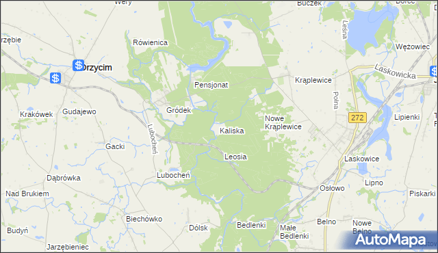 mapa Kaliska gmina Drzycim, Kaliska gmina Drzycim na mapie Targeo
