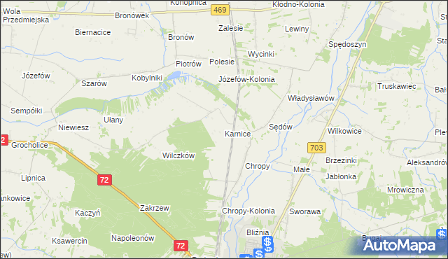 mapa Karnice gmina Poddębice, Karnice gmina Poddębice na mapie Targeo