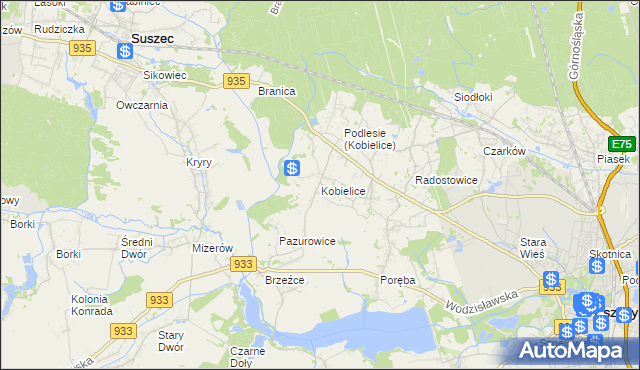 mapa Kobielice gmina Suszec, Kobielice gmina Suszec na mapie Targeo