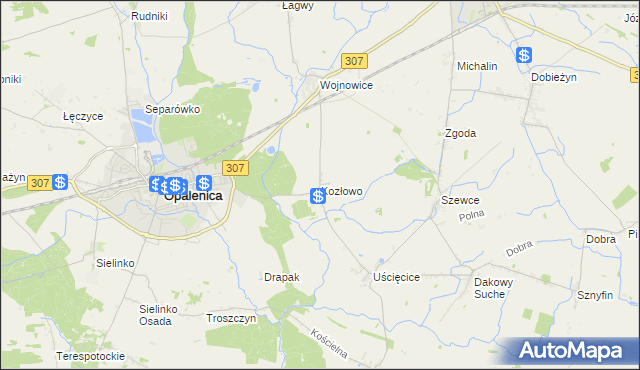 mapa Kozłowo gmina Opalenica, Kozłowo gmina Opalenica na mapie Targeo