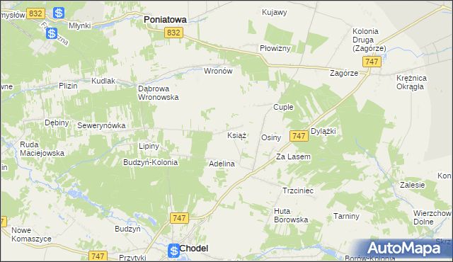 mapa Książ gmina Chodel, Książ gmina Chodel na mapie Targeo
