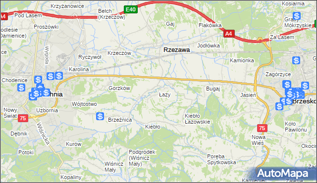 mapa Łazy gmina Rzezawa, Łazy gmina Rzezawa na mapie Targeo