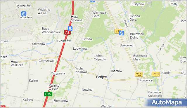 mapa Leśne Odpadki, Leśne Odpadki na mapie Targeo