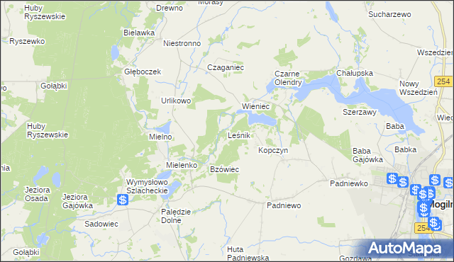 mapa Leśnik gmina Mogilno, Leśnik gmina Mogilno na mapie Targeo