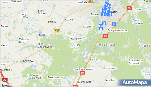mapa Lipa gmina Gostynin, Lipa gmina Gostynin na mapie Targeo