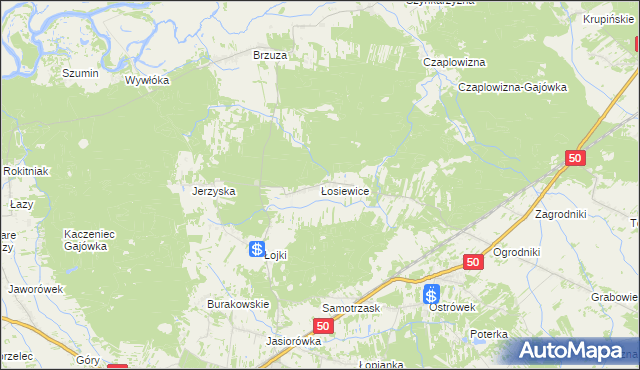 mapa Łosiewice, Łosiewice na mapie Targeo