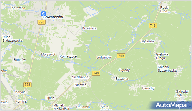 mapa Ludwinów gmina Gowarczów, Ludwinów gmina Gowarczów na mapie Targeo