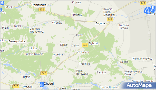 mapa Malinowszczyzna gmina Bełżyce, Malinowszczyzna gmina Bełżyce na mapie Targeo