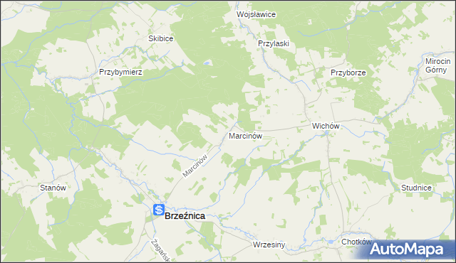 mapa Marcinów gmina Brzeźnica, Marcinów gmina Brzeźnica na mapie Targeo