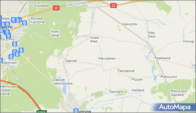 mapa Maruszewo gmina Rydzyna, Maruszewo gmina Rydzyna na mapie Targeo