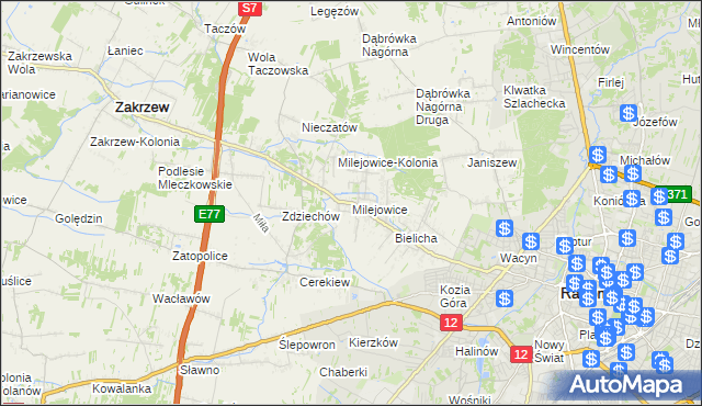 mapa Milejowice gmina Zakrzew, Milejowice gmina Zakrzew na mapie Targeo