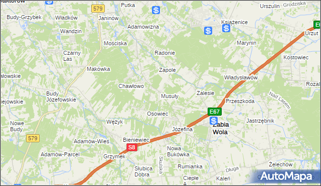 mapa Musuły, Musuły na mapie Targeo