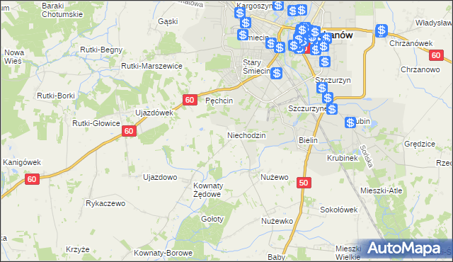 mapa Niechodzin, Niechodzin na mapie Targeo