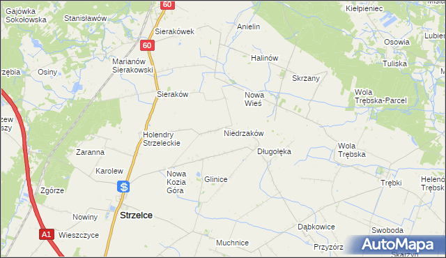 mapa Niedrzaków, Niedrzaków na mapie Targeo