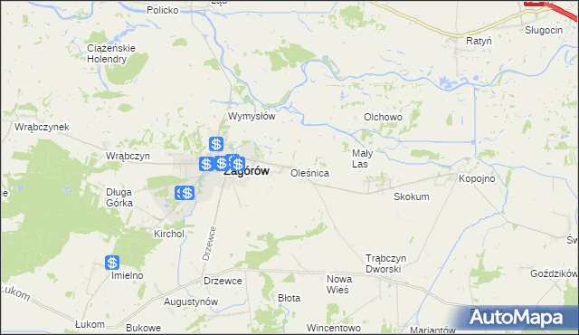 mapa Oleśnica gmina Zagórów, Oleśnica gmina Zagórów na mapie Targeo