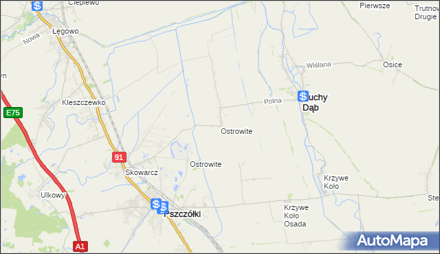 mapa Ostrowite gmina Suchy Dąb, Ostrowite gmina Suchy Dąb na mapie Targeo