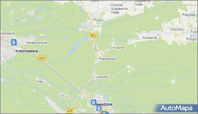 mapa Pietraszów, Pietraszów na mapie Targeo