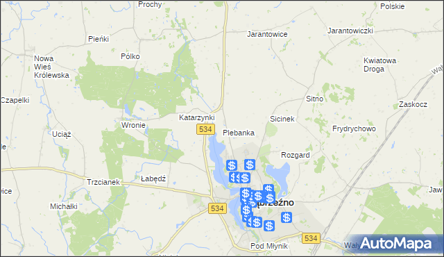 mapa Plebanka gmina Ryńsk, Plebanka gmina Ryńsk na mapie Targeo