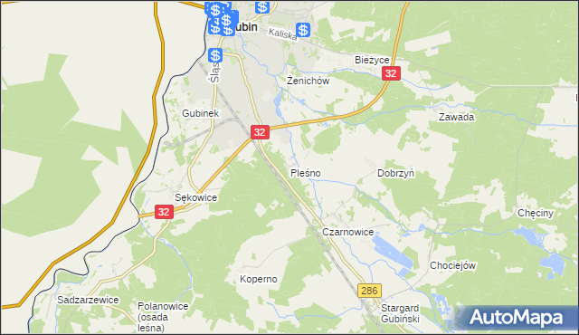 mapa Pleśno gmina Gubin, Pleśno gmina Gubin na mapie Targeo