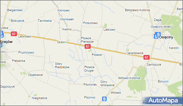 mapa Płowce gmina Radziejów, Płowce gmina Radziejów na mapie Targeo