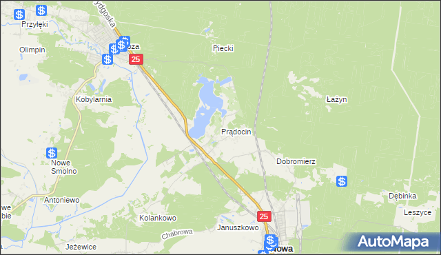 mapa Prądocin gmina Nowa Wieś Wielka, Prądocin gmina Nowa Wieś Wielka na mapie Targeo