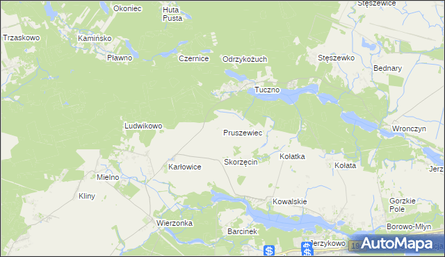 mapa Pruszewiec, Pruszewiec na mapie Targeo