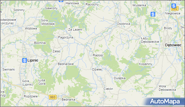 mapa Radość gmina Dębowiec, Radość gmina Dębowiec na mapie Targeo