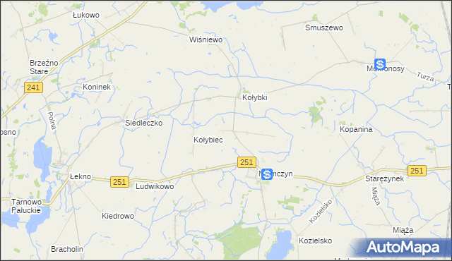 mapa Rakowo gmina Damasławek, Rakowo gmina Damasławek na mapie Targeo