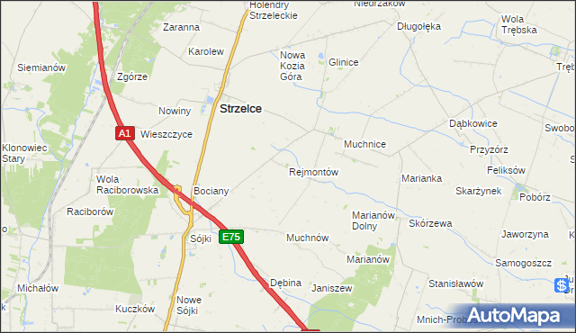 mapa Rejmontów, Rejmontów na mapie Targeo