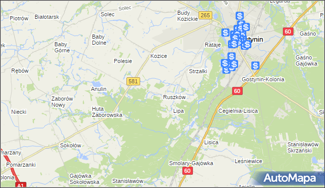 mapa Ruszków gmina Gostynin, Ruszków gmina Gostynin na mapie Targeo