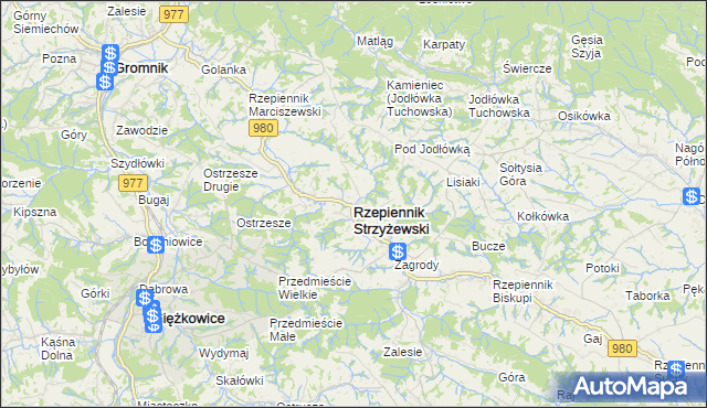 mapa Rzepiennik Strzyżewski, Rzepiennik Strzyżewski na mapie Targeo