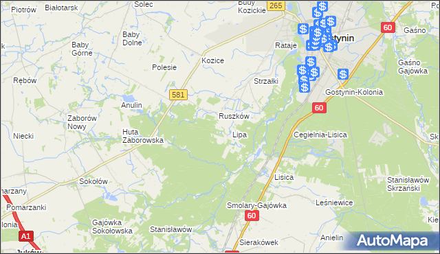 mapa Sałki gmina Gostynin, Sałki gmina Gostynin na mapie Targeo