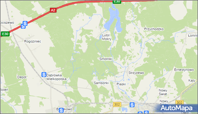 mapa Smolniki gmina Trzciel, Smolniki gmina Trzciel na mapie Targeo