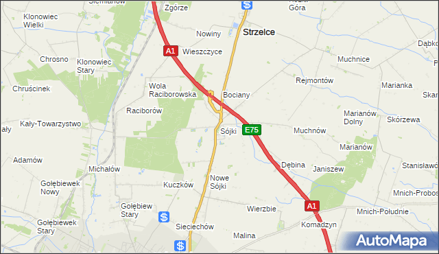 mapa Sójki gmina Strzelce, Sójki gmina Strzelce na mapie Targeo