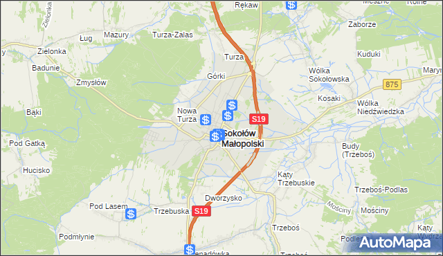 mapa Sokołów Małopolski, Sokołów Małopolski na mapie Targeo