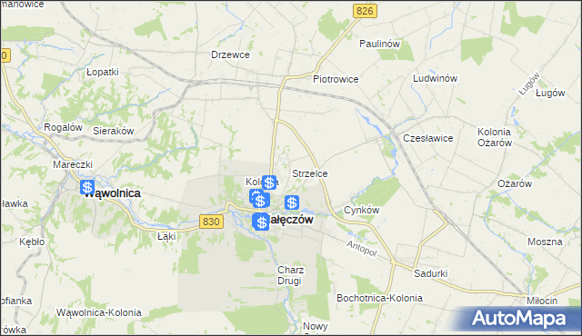 mapa Strzelce gmina Nałęczów, Strzelce gmina Nałęczów na mapie Targeo