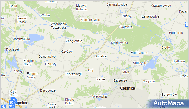 mapa Strzelce gmina Oleśnica, Strzelce gmina Oleśnica na mapie Targeo