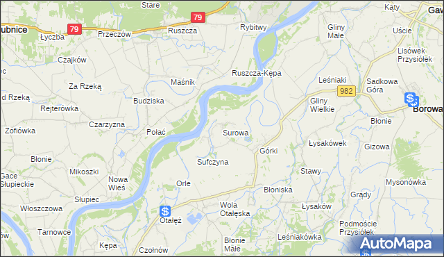 mapa Surowa gmina Borowa, Surowa gmina Borowa na mapie Targeo