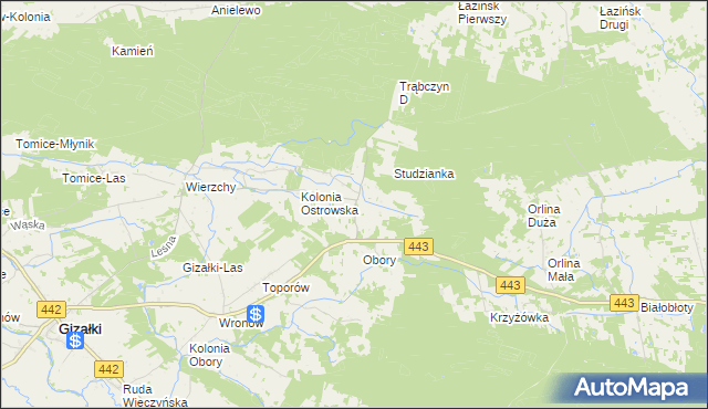 mapa Świerczyna gmina Gizałki, Świerczyna gmina Gizałki na mapie Targeo