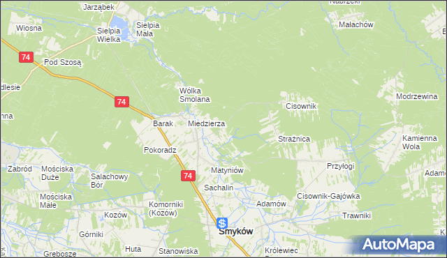 mapa Świnków gmina Smyków, Świnków gmina Smyków na mapie Targeo