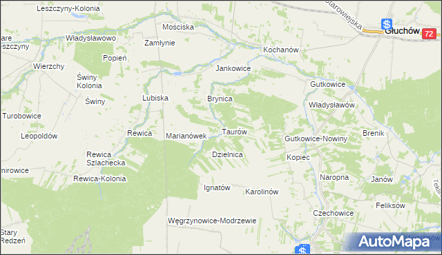 mapa Taurów, Taurów na mapie Targeo