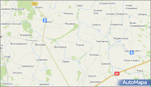 mapa Tłubice, Tłubice na mapie Targeo