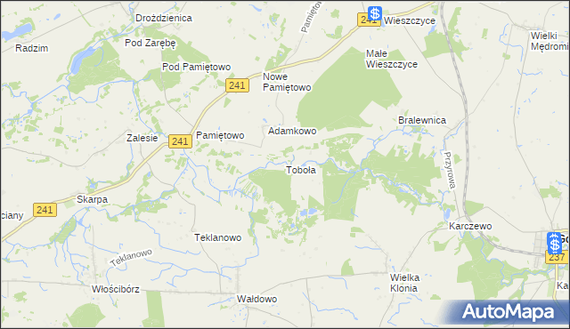 mapa Toboła, Toboła na mapie Targeo